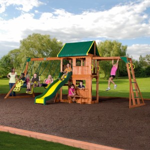 backyard discovery swing set